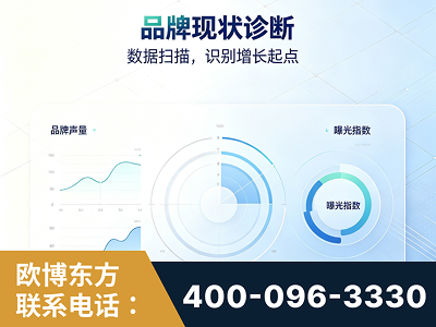 东宁-品牌现状诊断