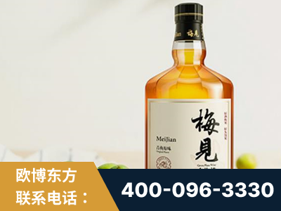 东宁-梅见青梅酒